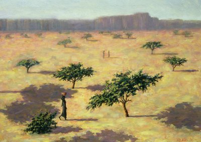 Paesaggio saheliano, Mali, 1991 da Tilly Willis